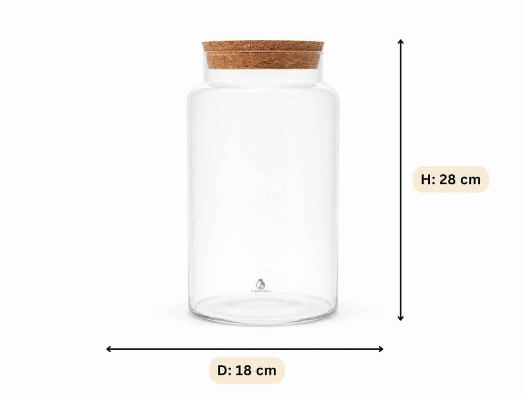 Tall Glass Terrarium Container with Cork Lid | H: 28 cm