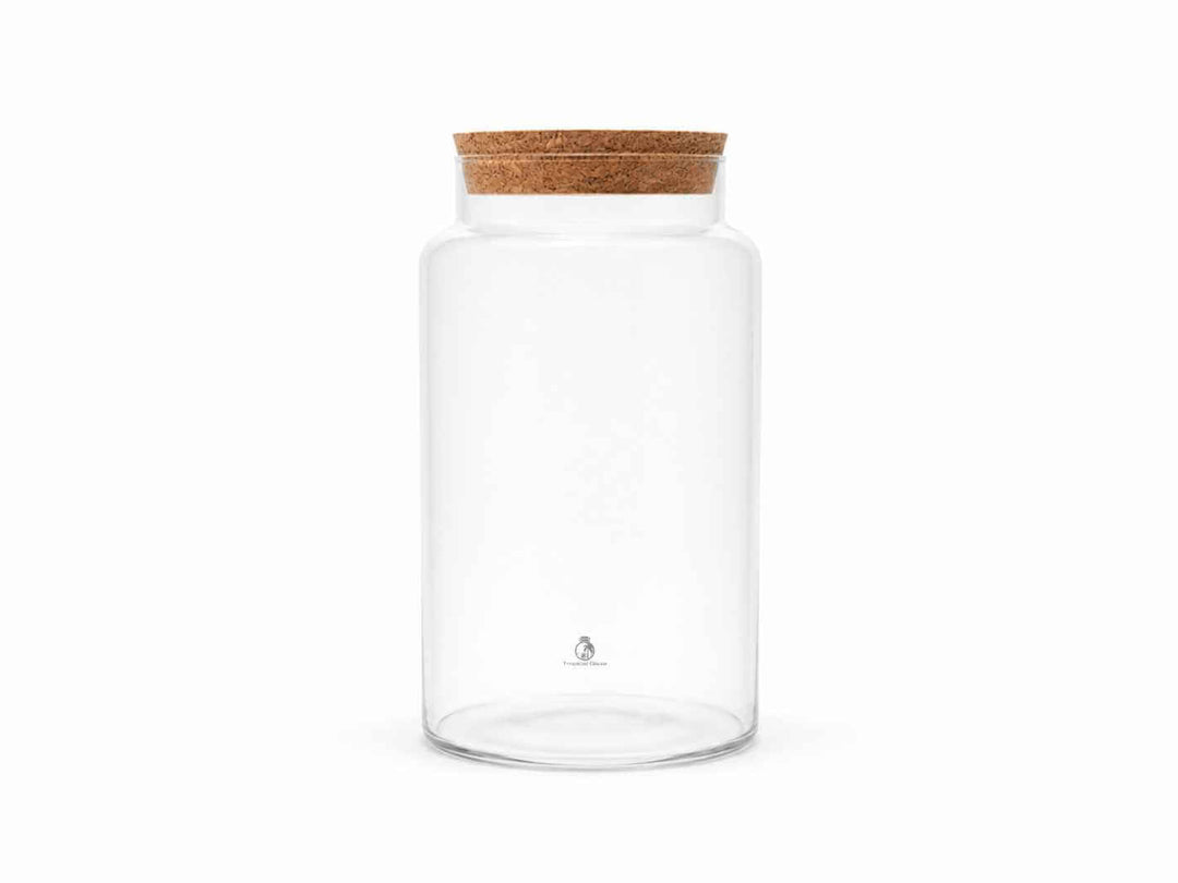 Tall Glass Terrarium Container with Cork Lid | H: 28 cm