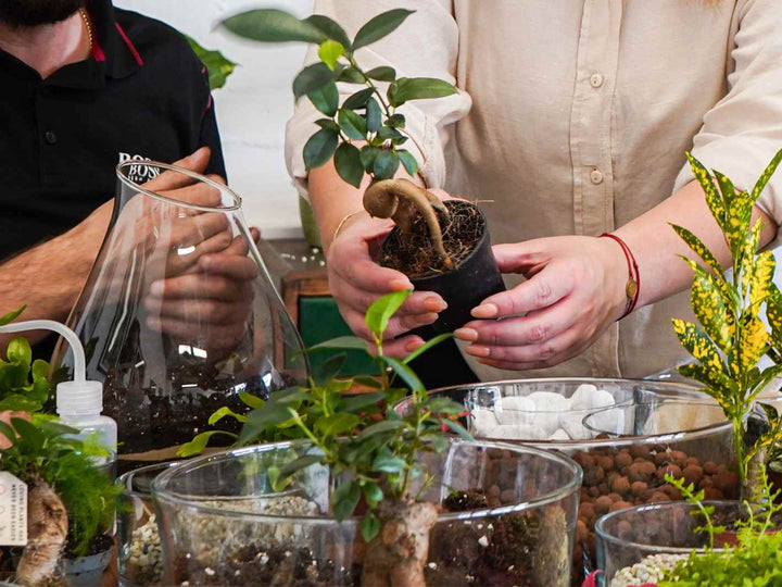 Hands-on terrarium building during a London class