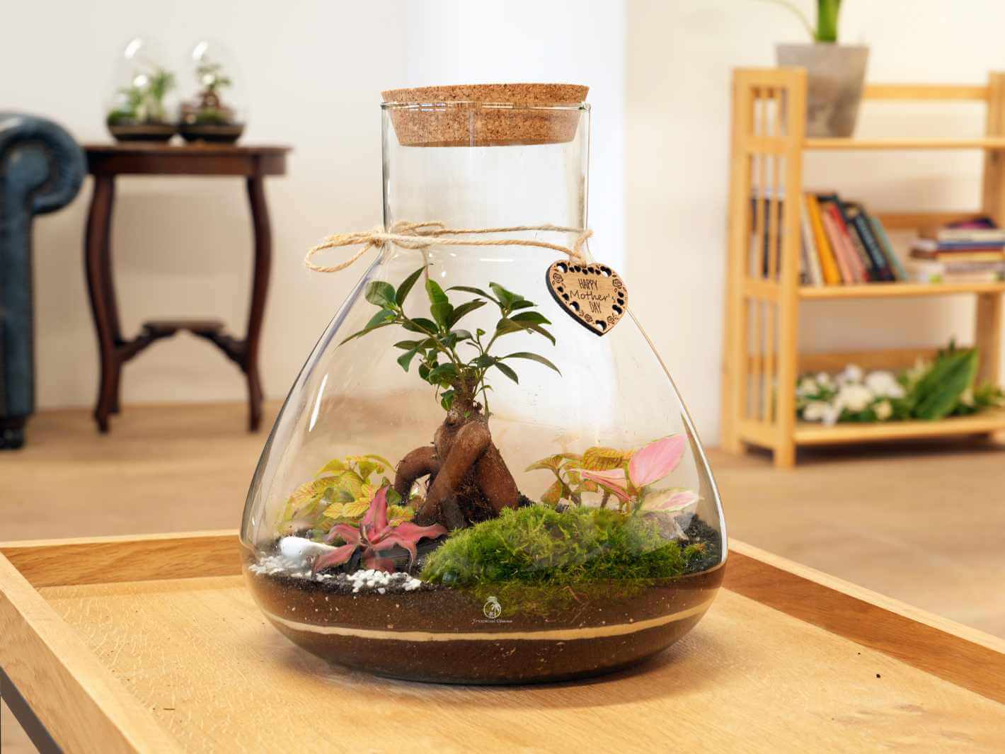 A beautifully arranged DIY terrarium is displayed in a glass container with a cork lid, featuring lush green plants, decorative stones, and moss.