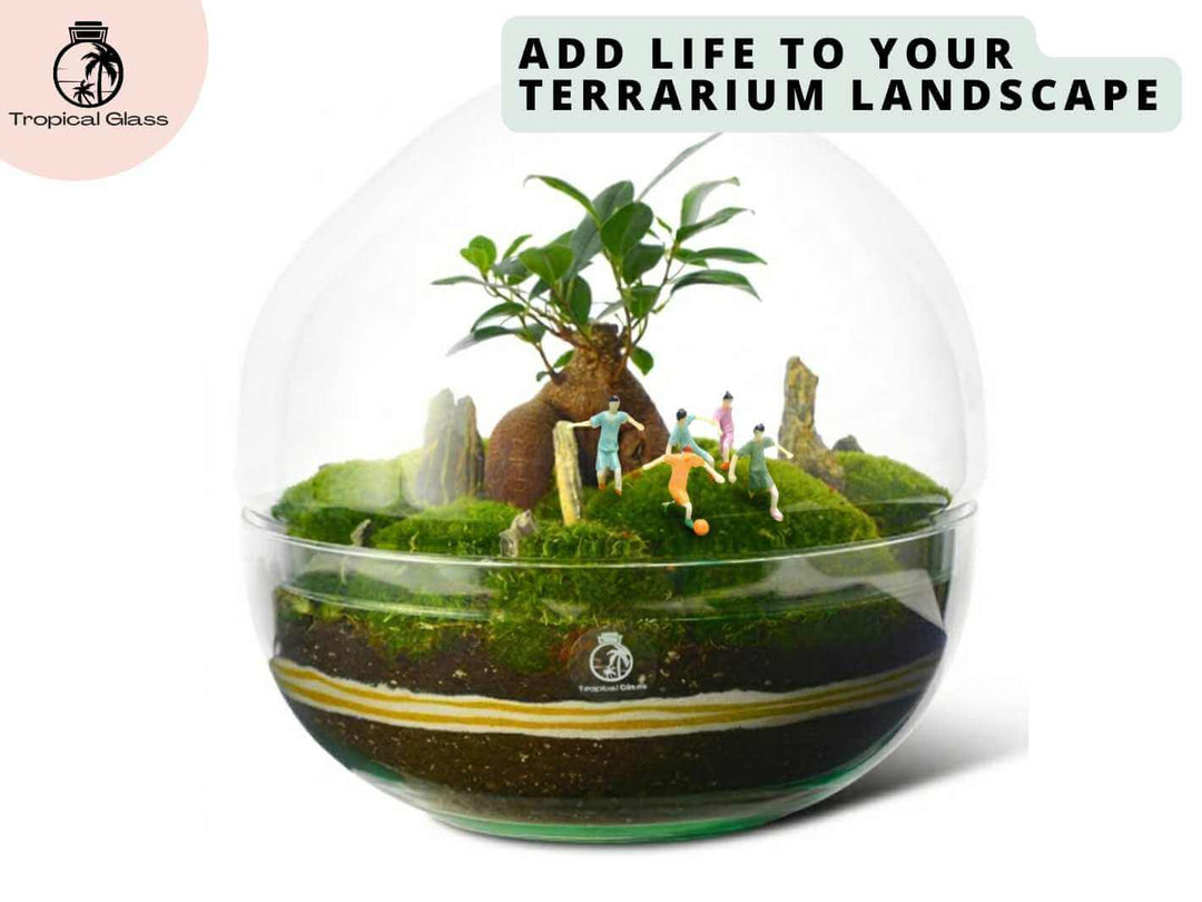2 cm painted soccer player miniatures placed inside a terrarium display