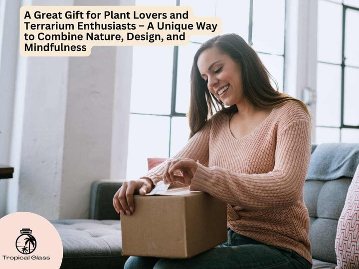 DIY terrarium kit gift idea with glass jar, plants and decorative elements for home decor