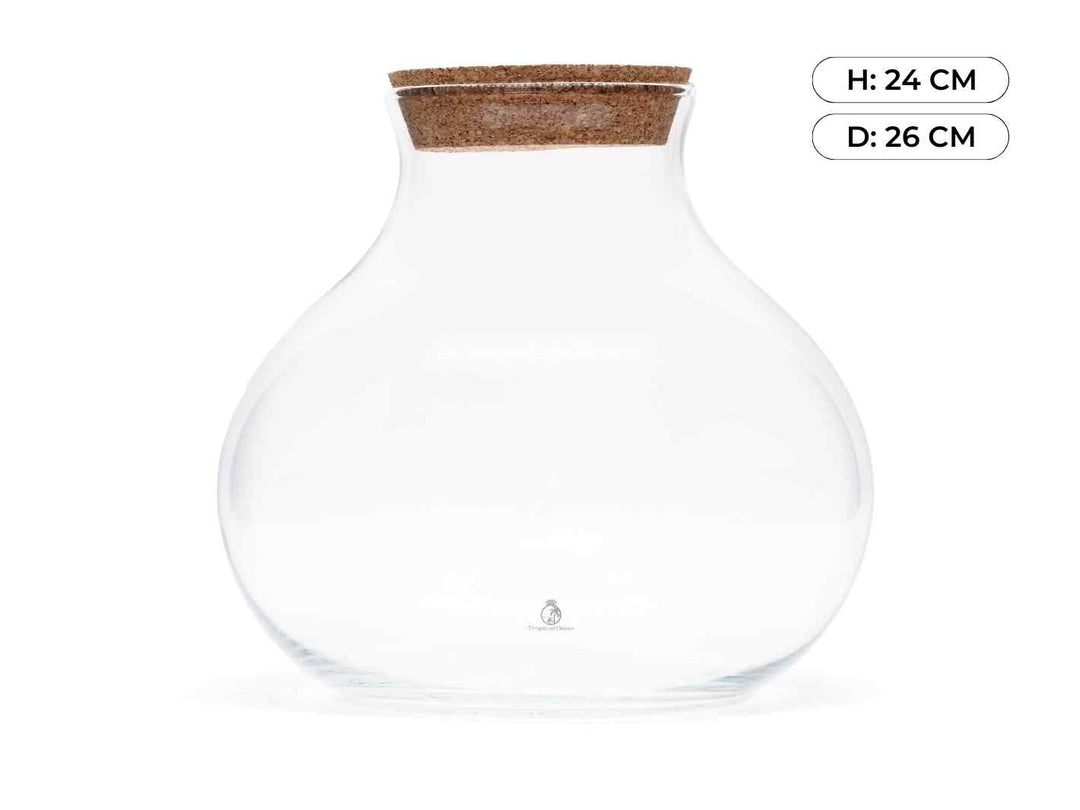 Closed Terrarium Jar with Cork Lid | H:24 cm
