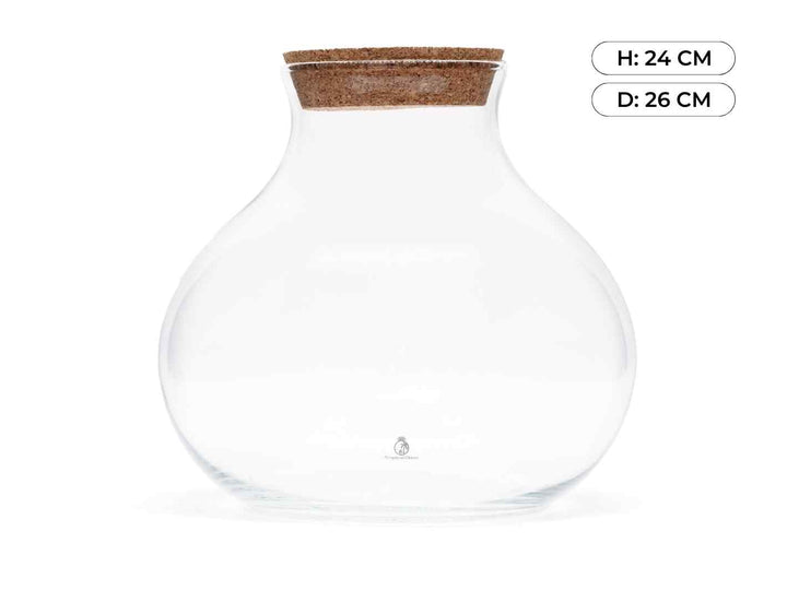 terrarium-glass-container-with-lid