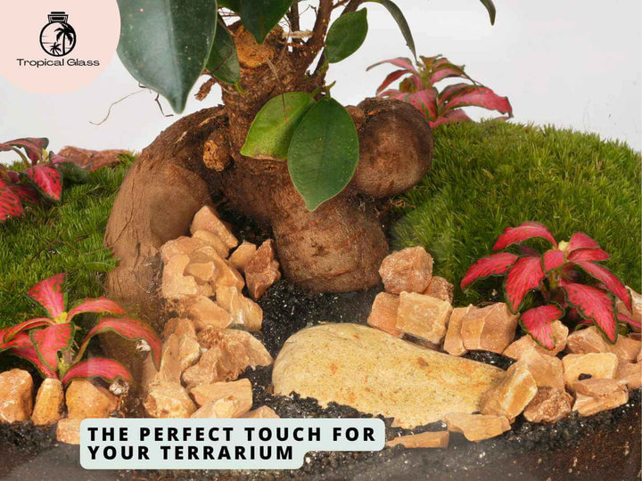 Salmon pink decorative gravel for closed terrariums, aquariums and plant displays