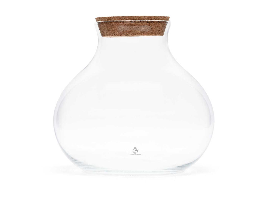 Closed Terrarium Jar with Cork Lid | H:24 cm