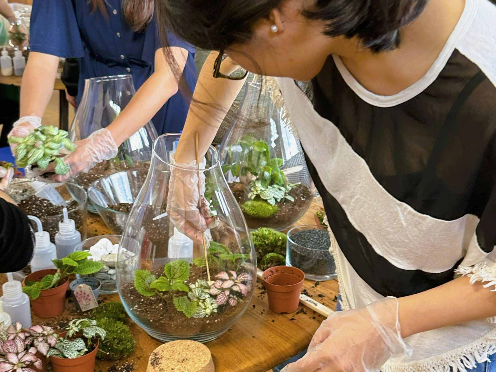 People working on creating terrariums with plants and materials.