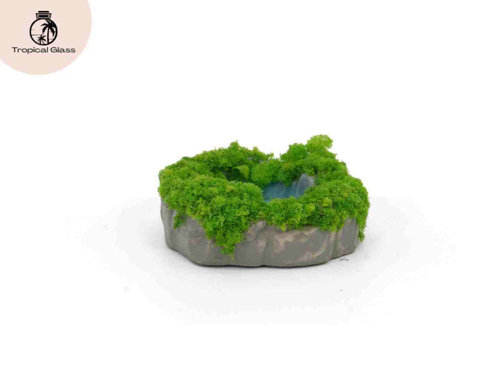 Side view of miniature resin pond ornament for fairy gardens and terrariums