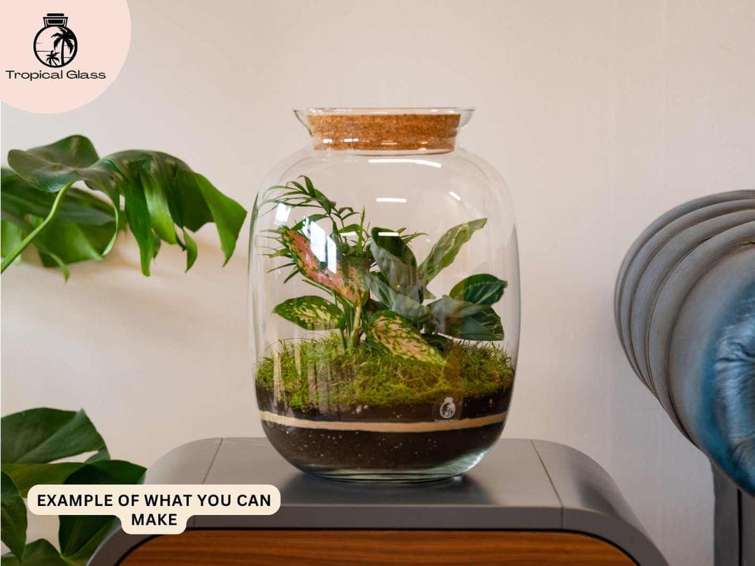 Terrarium setup using carpet moss to create a smooth natural base layer