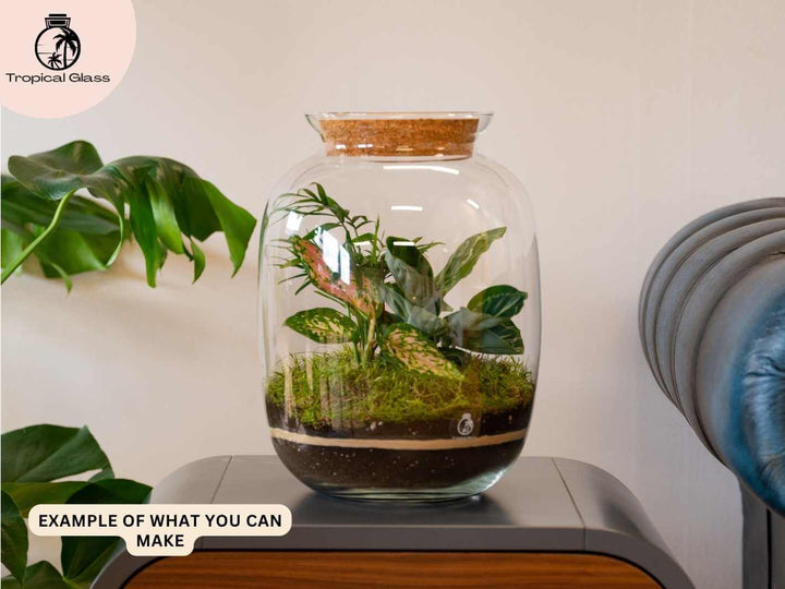 Terrarium setup using carpet moss to create a smooth natural base layer