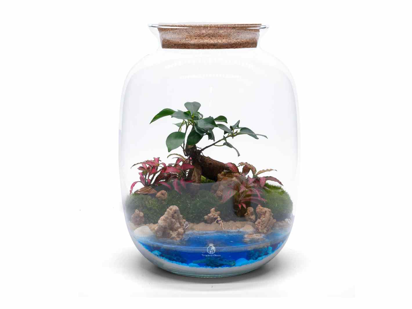 DIY resin terrarium kit with water feature and bonsai