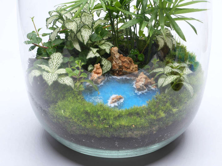 Terrarium diorama accessory with blue water and decorative elements