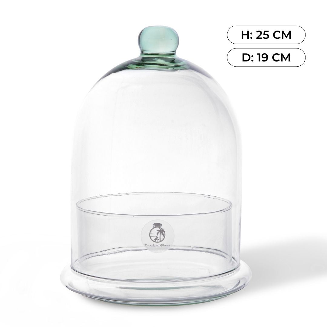 Dome Terrarium Glass Container | 25 cm