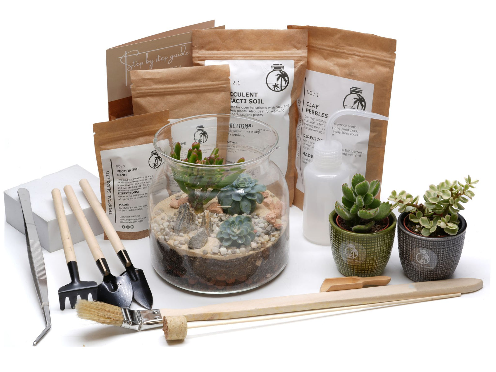 A DIY open terrarium kit is displayed, featuring a glass container filled with soil, pebbles, and vibrant succulent plants.