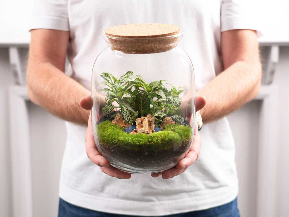 closed terrarium with water feature