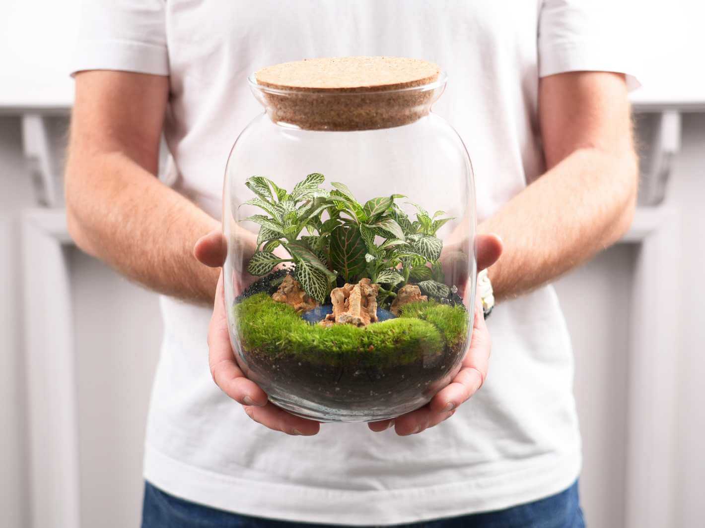 A person holds a glass terrarium featuring lush green plants and moss, with small rocks at the base. The terrarium is topped with a cork lid, showcasing a miniature garden encapsulated in a clear jar.