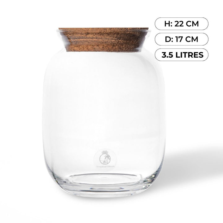 Closed Terrarium Jar 22cm with Cork Lid | Balloon Shape Container | Handmade