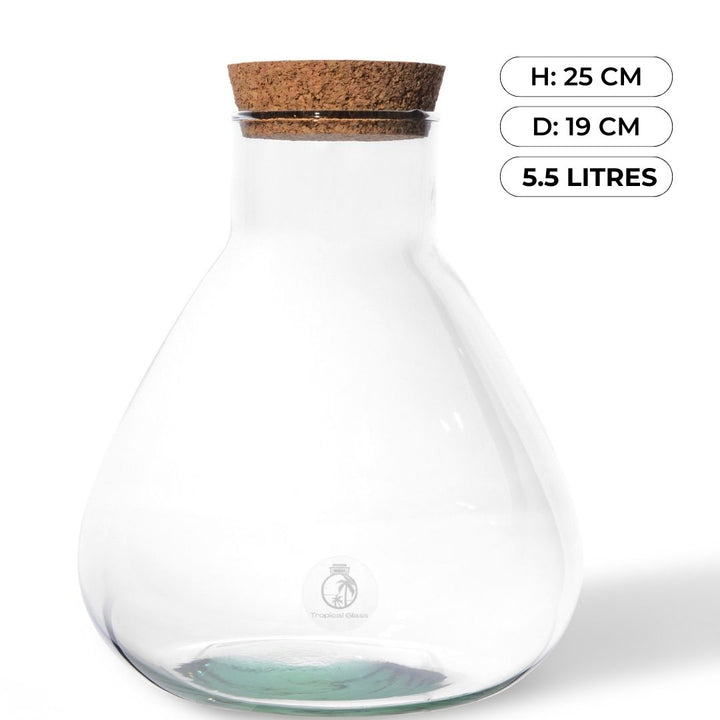 Terrarium Glass 24 cm with Cork Lid | Conical Flask | Handmade