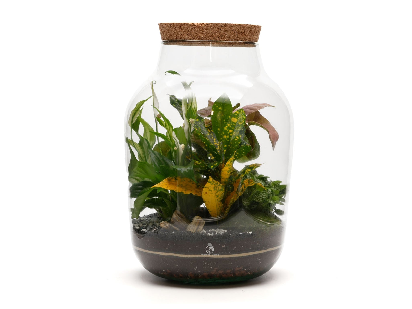 A large glass terrarium featuring a variety of lush green plants, including a yellow-leaved plant, nestled in dark soil with pebbles. The terrarium is topped with a natural cork lid, creating a serene indoor garden display.