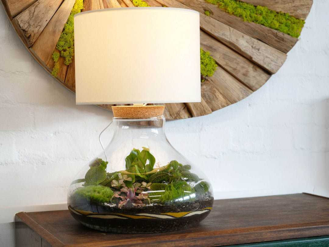 Terrarium Lamp Kit – Perfect Gift for Plant Lovers Tropical Glass