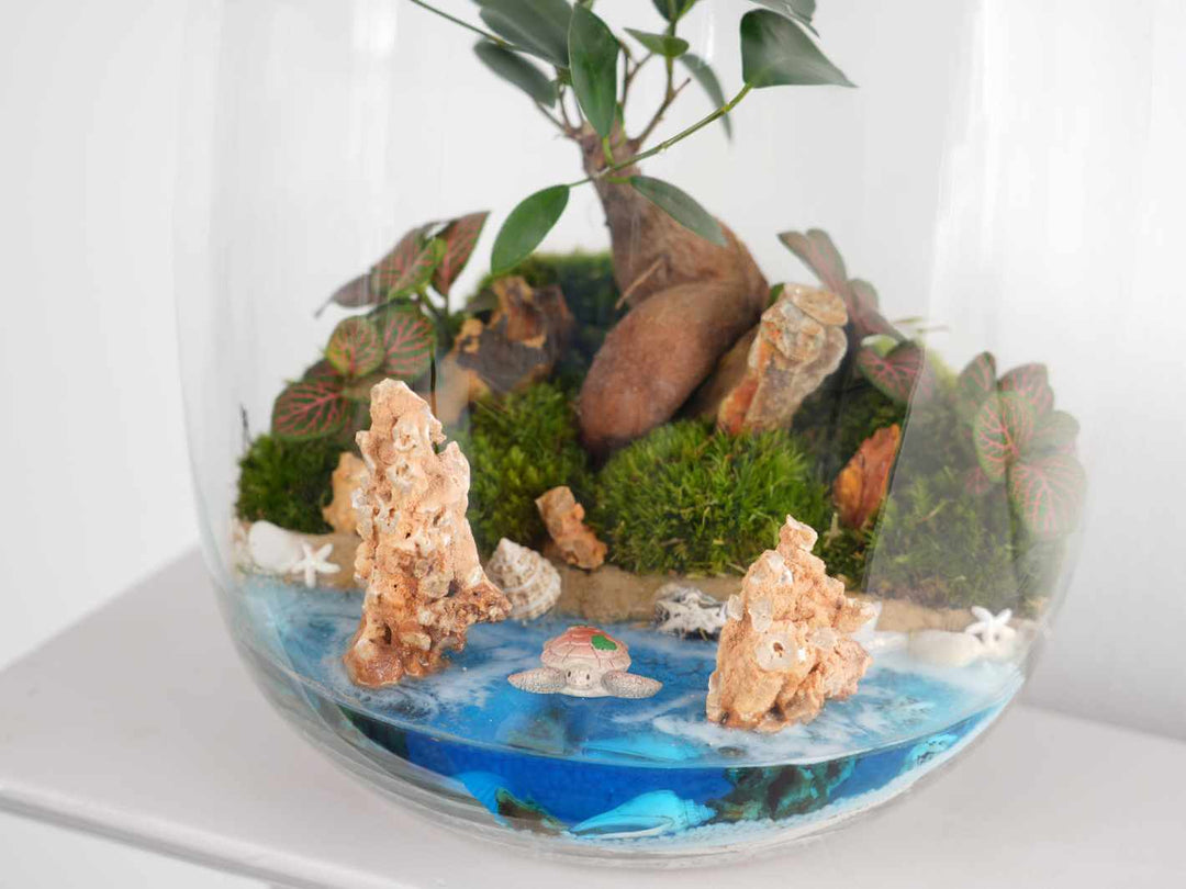 Tiny turtle figurine for beach, coastal, and underwater-inspired terrariums and dioramas.