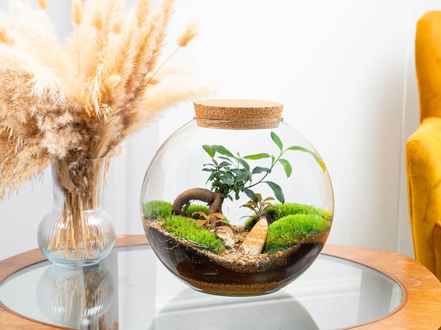 A stylish terrarium featuring a bonsai and lush greenery. The perfect garden gift for plant lovers and home decorators.