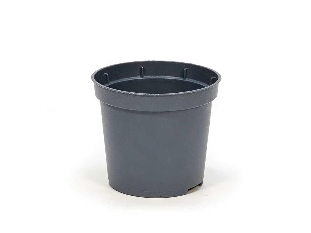 Used large plastic plant pot in grey tone with drainage holes, suitable for indoor plants and repotting