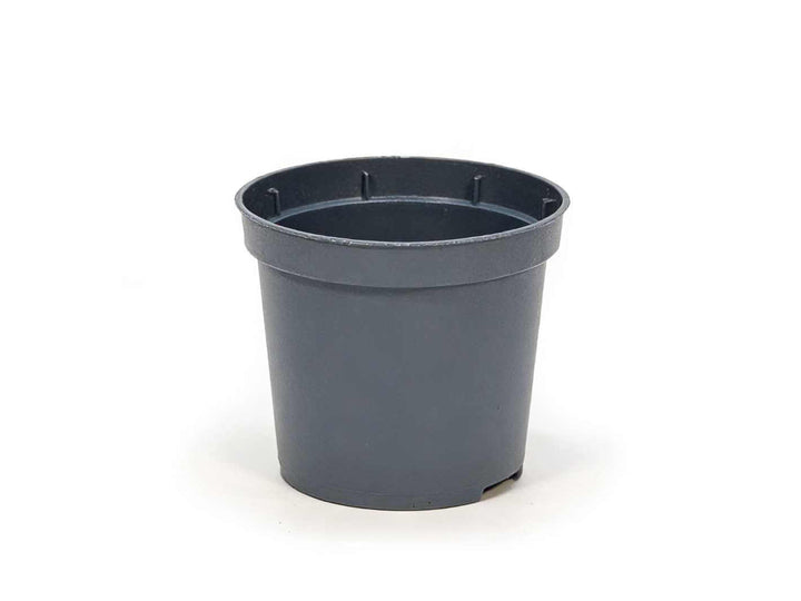 Used large plastic plant pot in grey tone with drainage holes, suitable for indoor plants and repotting
