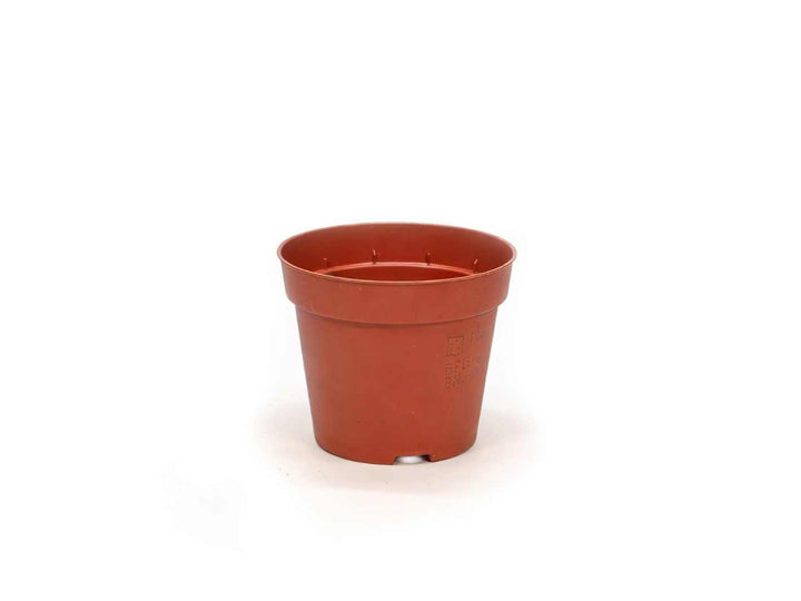 Used small terracotta plastic plant pot with drainage holes, ideal for herbs and small plants