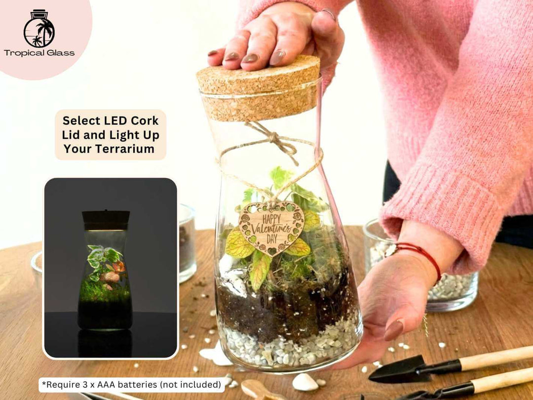 Valentine’s edition DIY terrarium kit with optional LED cork lid for decorative lighting