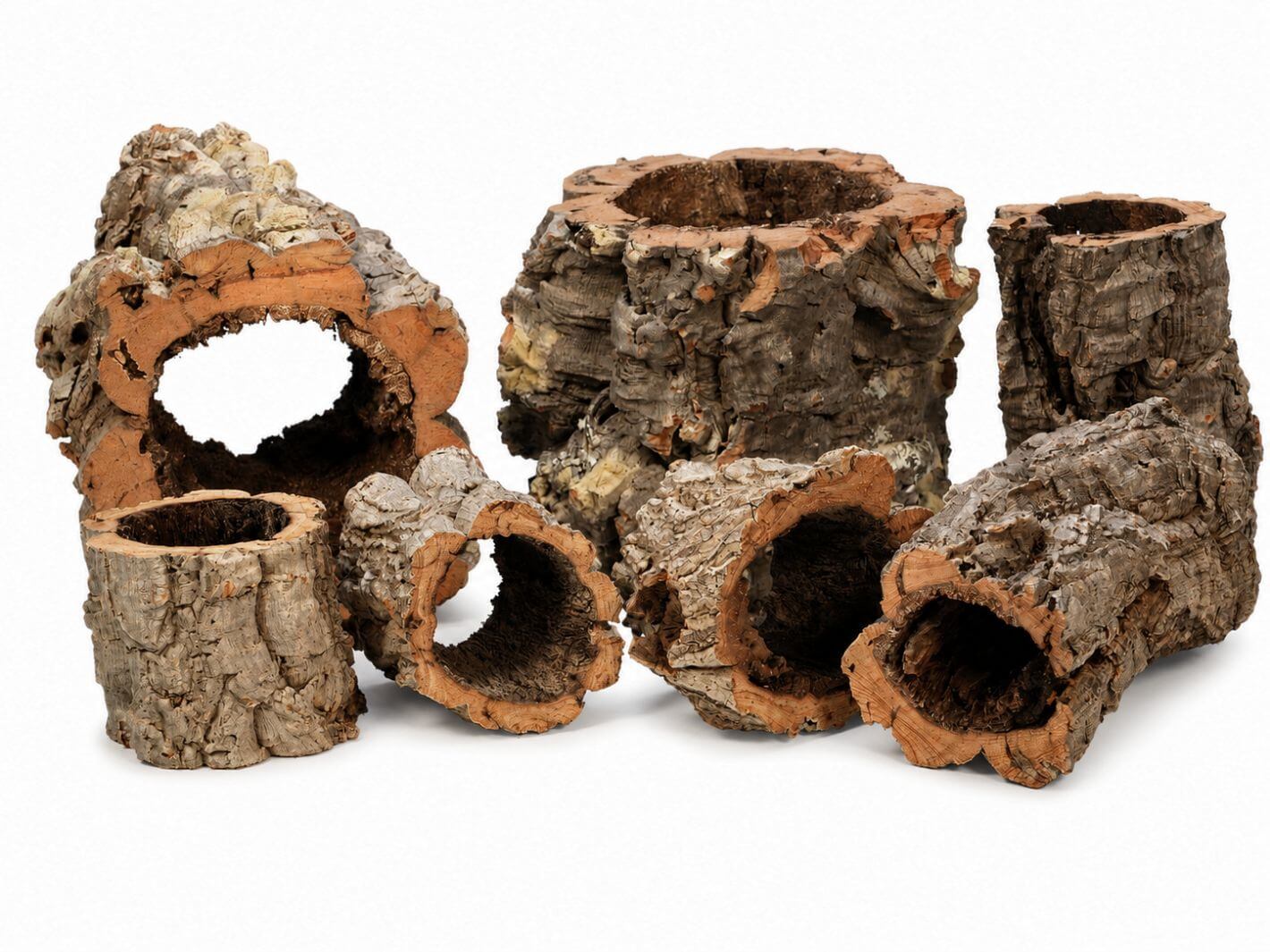 A set of natural cork bark tubes and caves, likely for aquariums or terrariums, arranged on a plain white background.