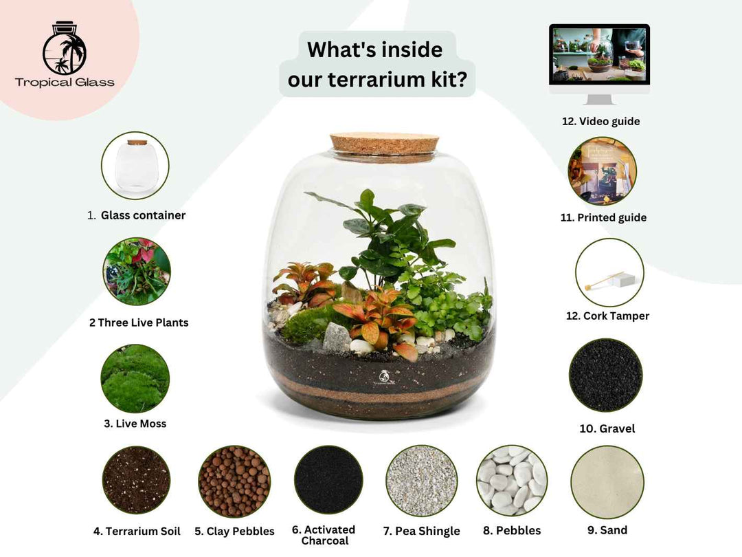 Palermo DIY terrarium kit gift idea for plant lovers and indoor gardening enthusiasts
