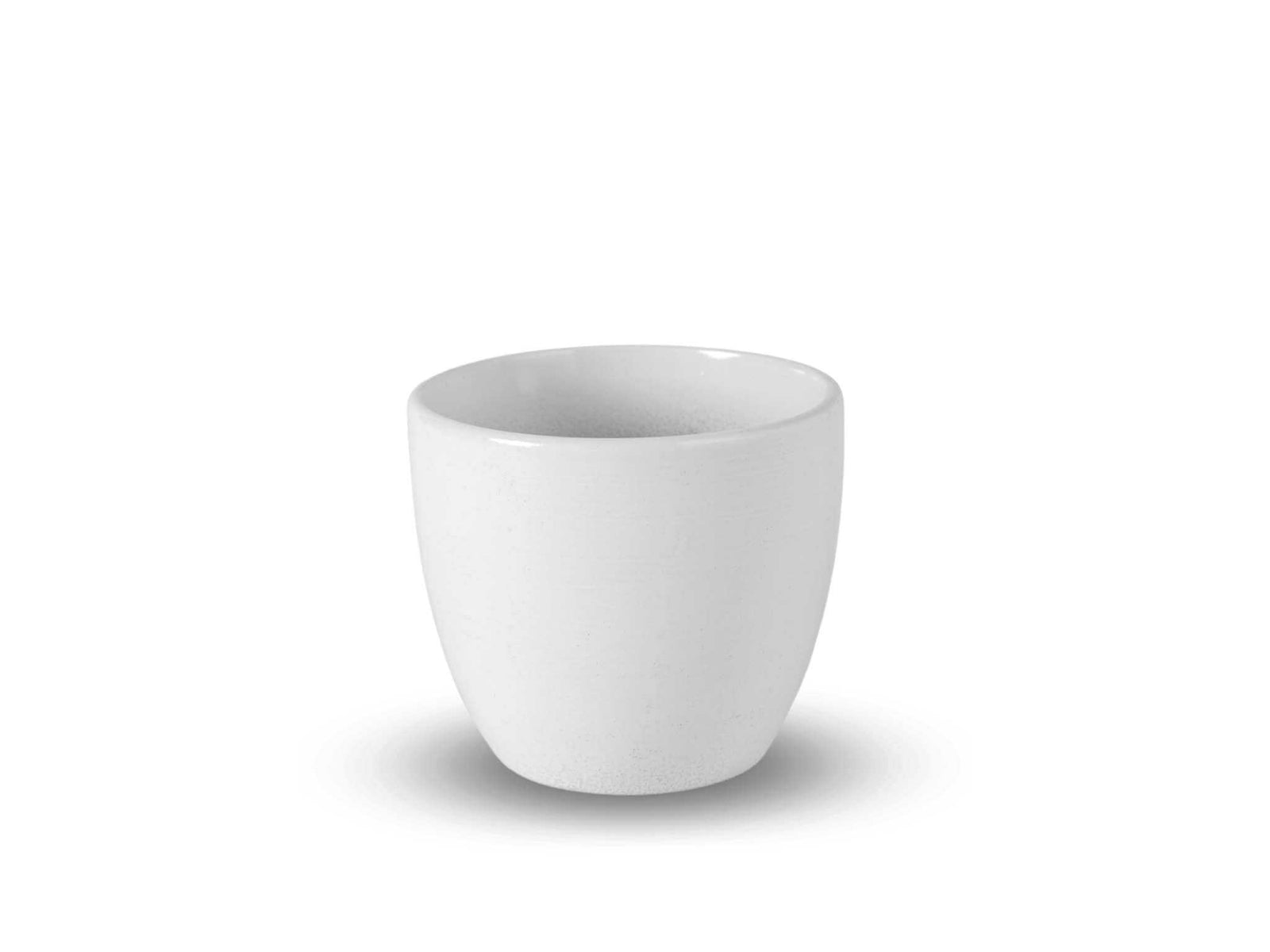A minimalist white decorative plant pot features a smooth, glossy finish and a rounded shape, designed to hold plants in 5.5 cm nursery pots. Its sleek design makes it suitable for various indoor settings, adding a touch of elegance.
