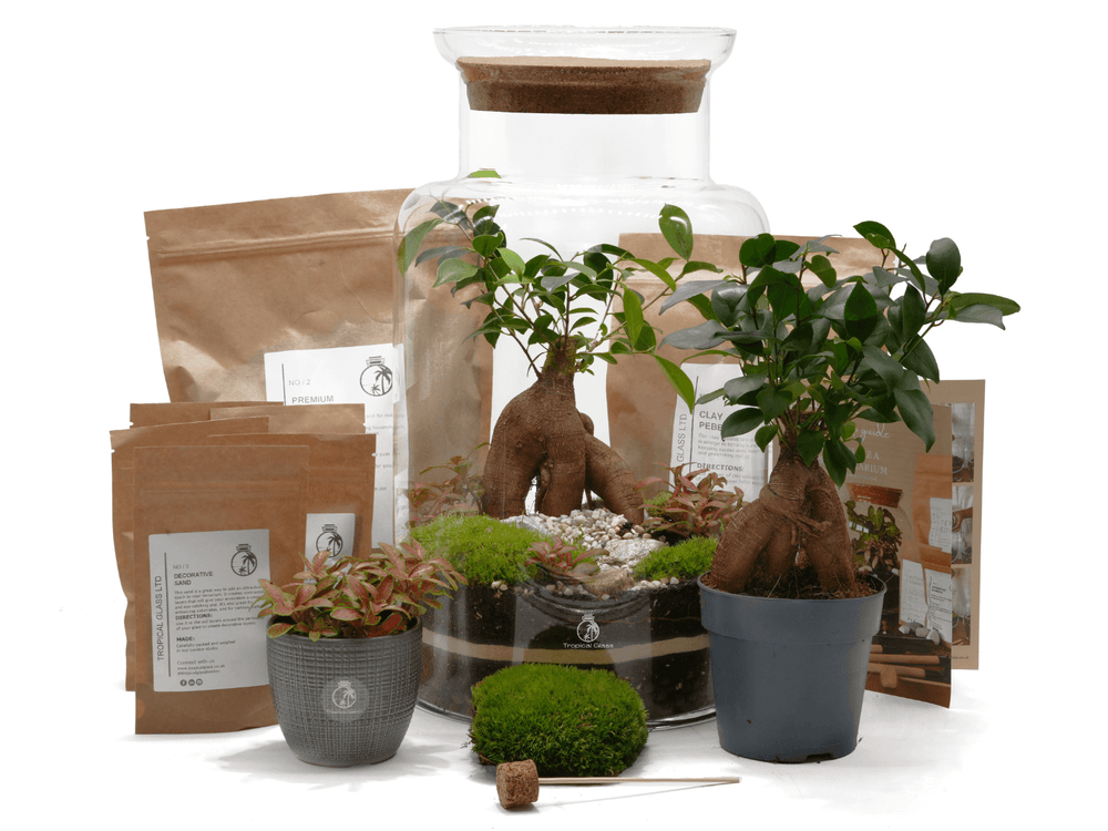 Complete terrarium kit contents arranged