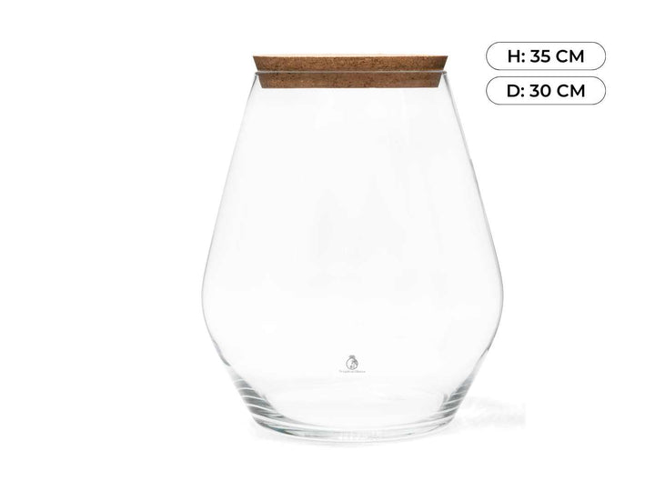 Clear glass vase with a cork lid on a white background