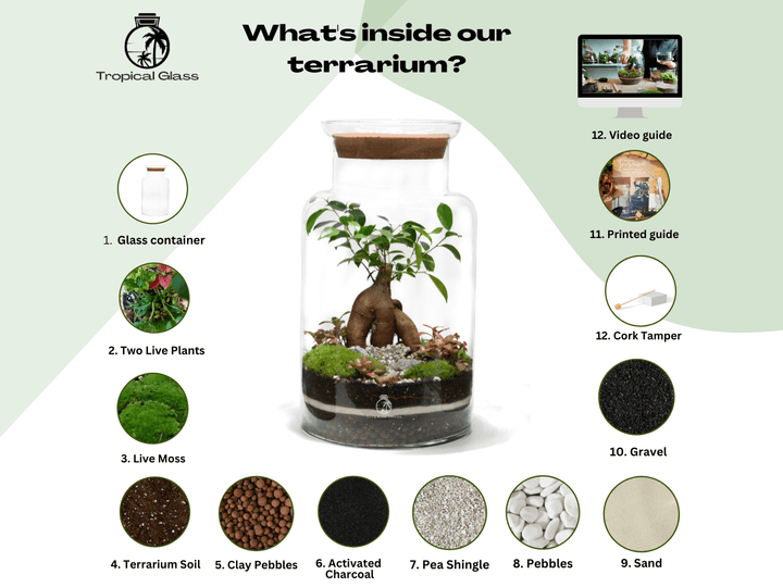 Tropical Glass terrarium kit with components listed and a sample terrarium on a white background.