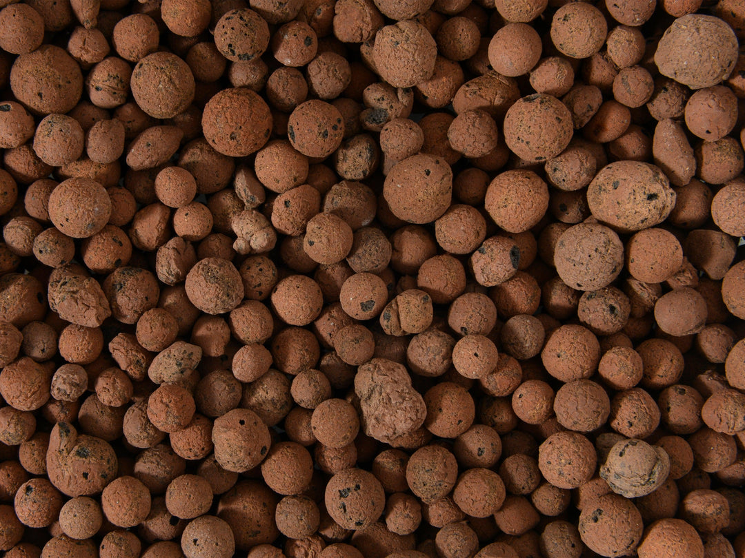 Premium Expanded Clay Pebbles | Drainage Layer | LECA balls - Tropical Glass