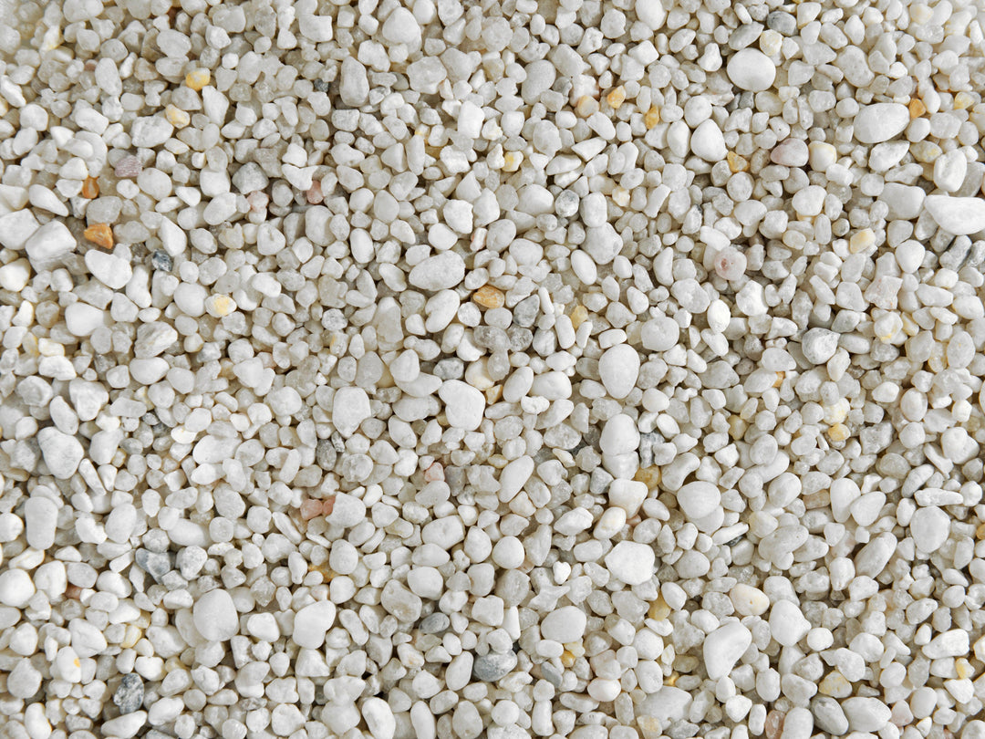 White Decorative Pea Shingle | Terrariums Gravel | Plant Pot Toppings for Cacti and Succulents - Tropical Glass
