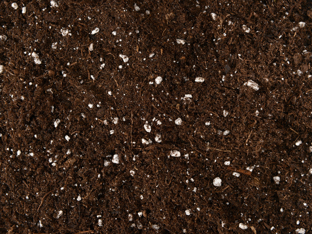 Terrarium Soil