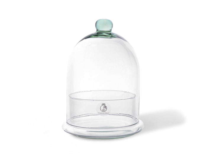 Dome Terrarium Glass Container | 25 cm - Tropical Glass