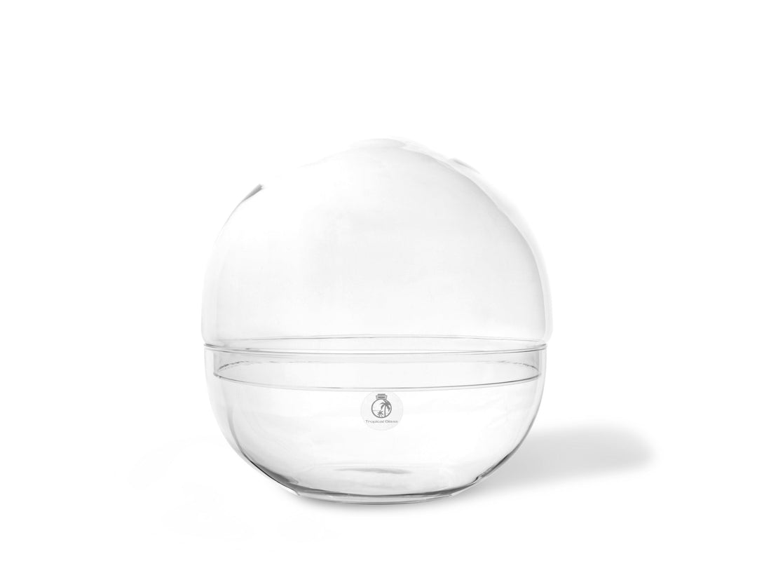Globe Terrarium Glass Container | 27 cm - Tropical Glass