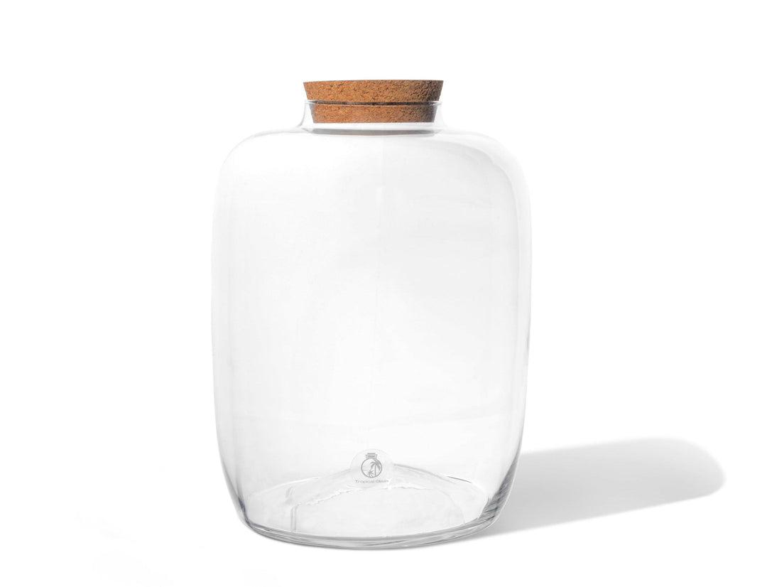 Closed terrarium 30cm glass container with cork lid | Keg Shape Vessel - Tropical Glass