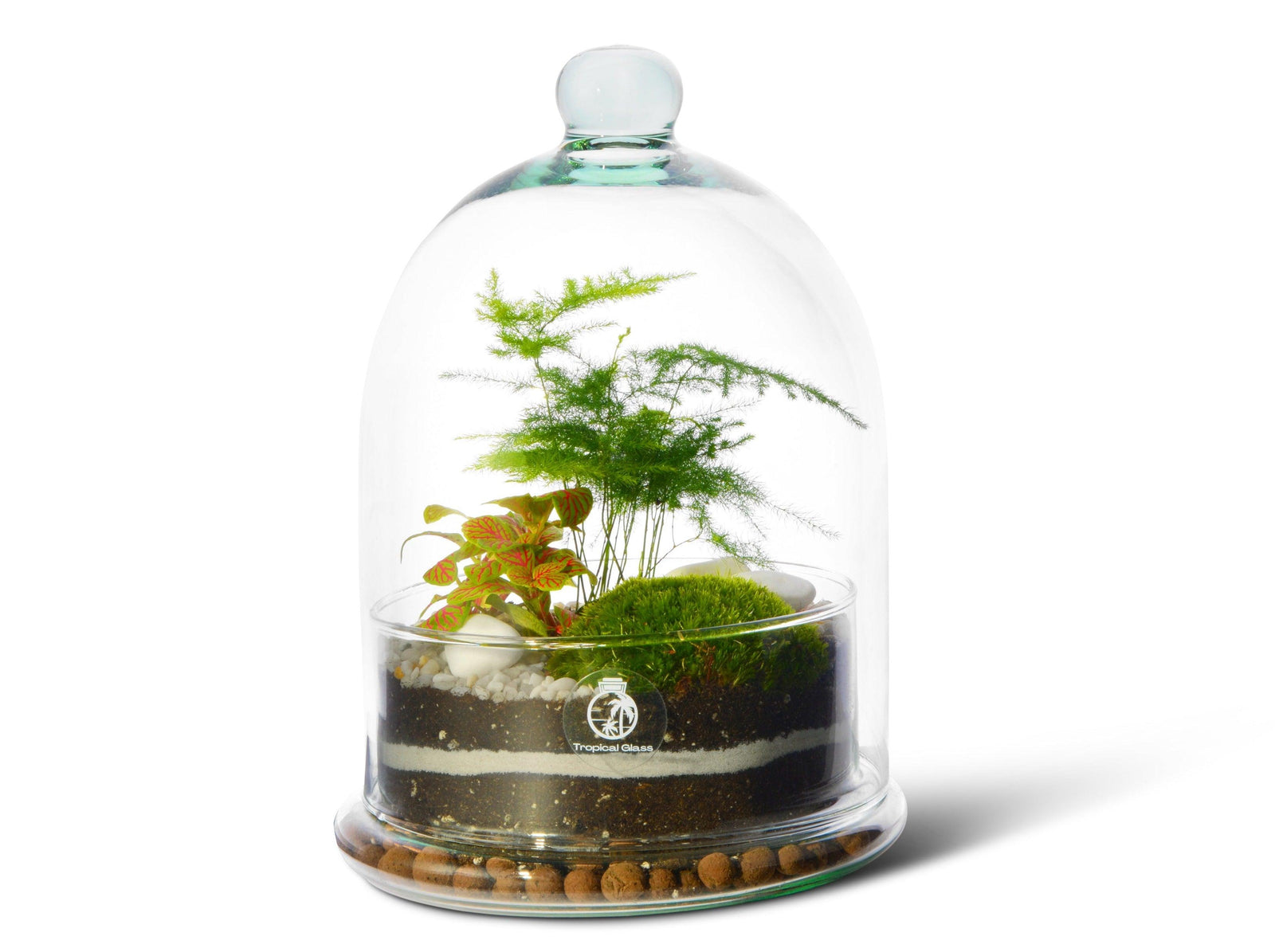 A beautifully arranged terrarium under a clear glass dome showcases lush green ferns and vibrant plants set atop layers of soil and decorative stones. The design creates a miniature ecosystem, highlighting natures beauty in a compact space.