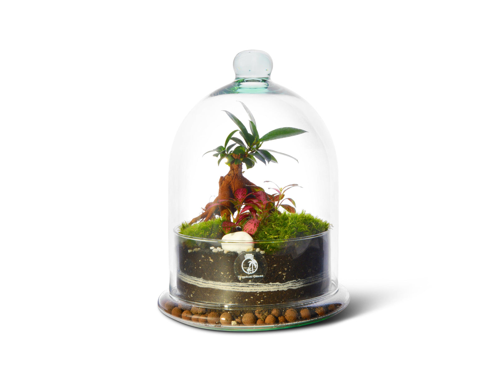 A beautifully arranged dome terrarium featuring vibrant green moss, small colorful plants, and a decorative miniature white stone. The terrarium is enclosed in a clear glass dome with a round base, creating a serene indoor ecosystem.