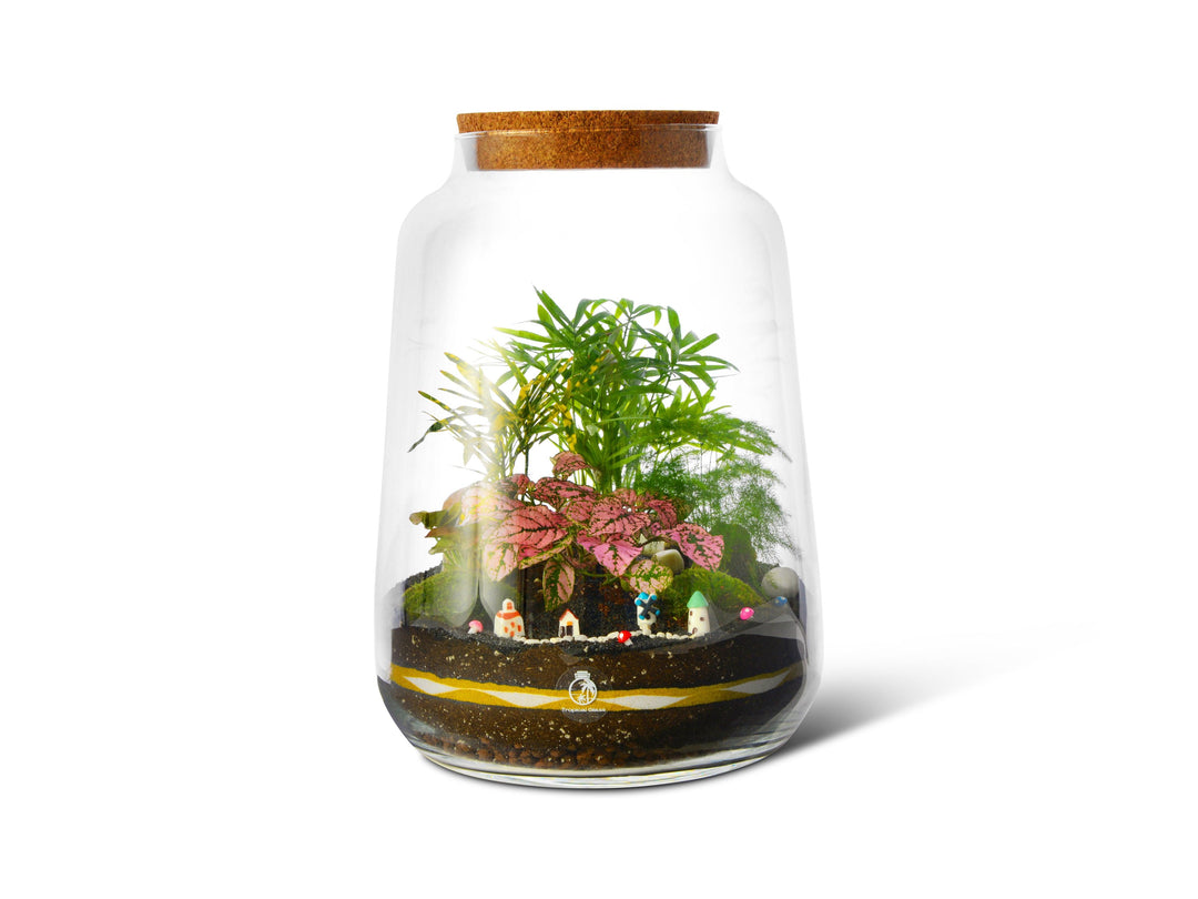 Closed DIY Terrarium Kit with 35cm Jar 'Pisa' | Lantern Shape - Tropical Glass