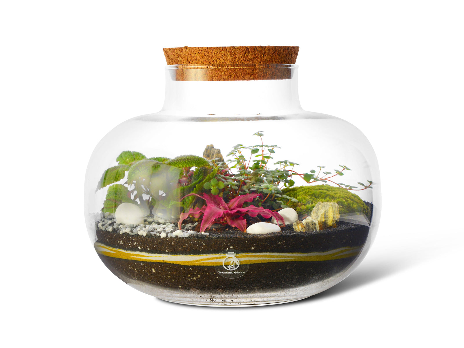 A clear glass terrarium jar with a cork lid contains various plants, including vibrant green foliage and colorful pink accents. The layered soil features decorative stones and moss, creating a miniature ecosystem inside the jar.
