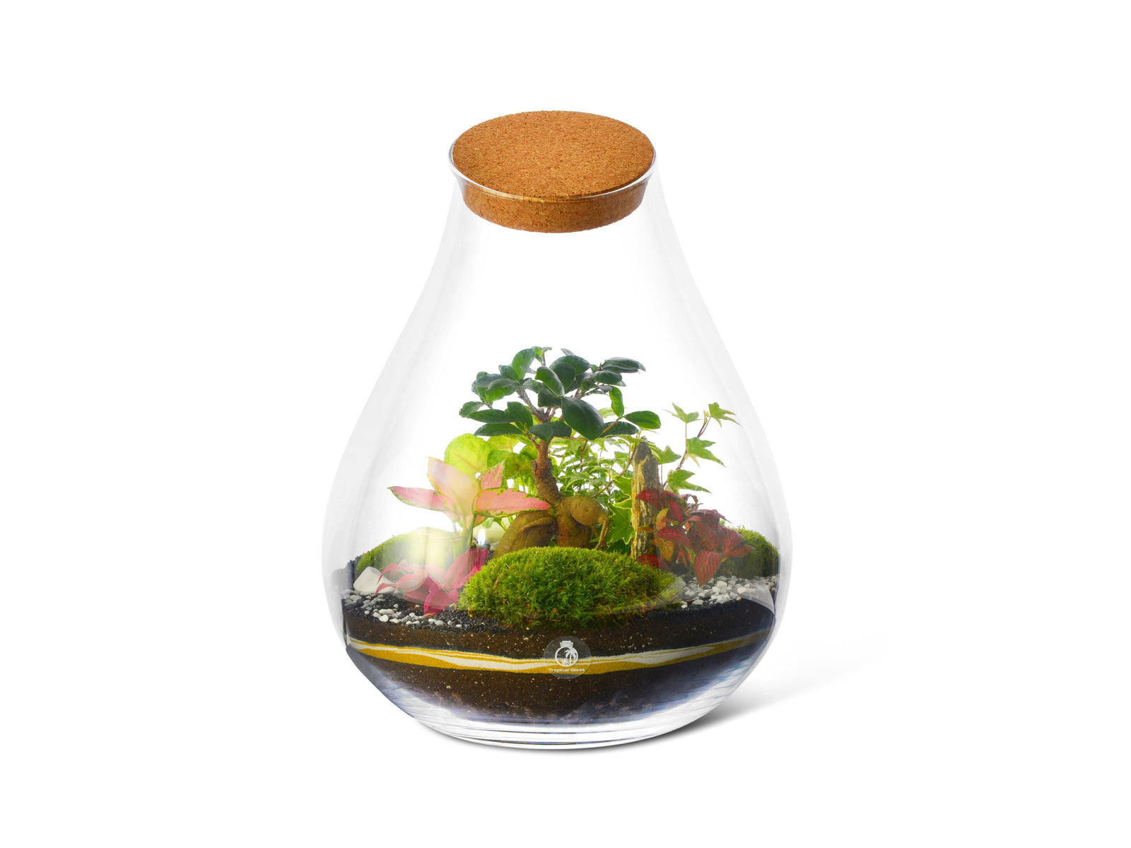 A closed glass terrarium with a teardrop shape features vibrant green plants, including small leafy varieties and colorful foliage, set on a bed of dark soil and moss.