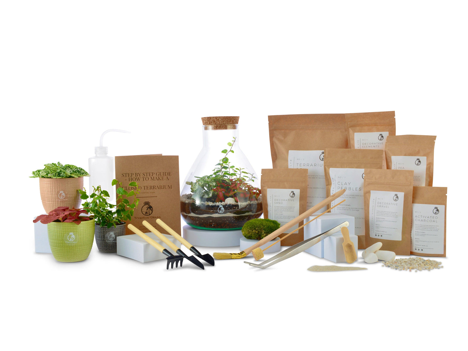 A DIY terrarium kit featuring a 24 cm glass container filled with lush greenery, including small plants and moss.