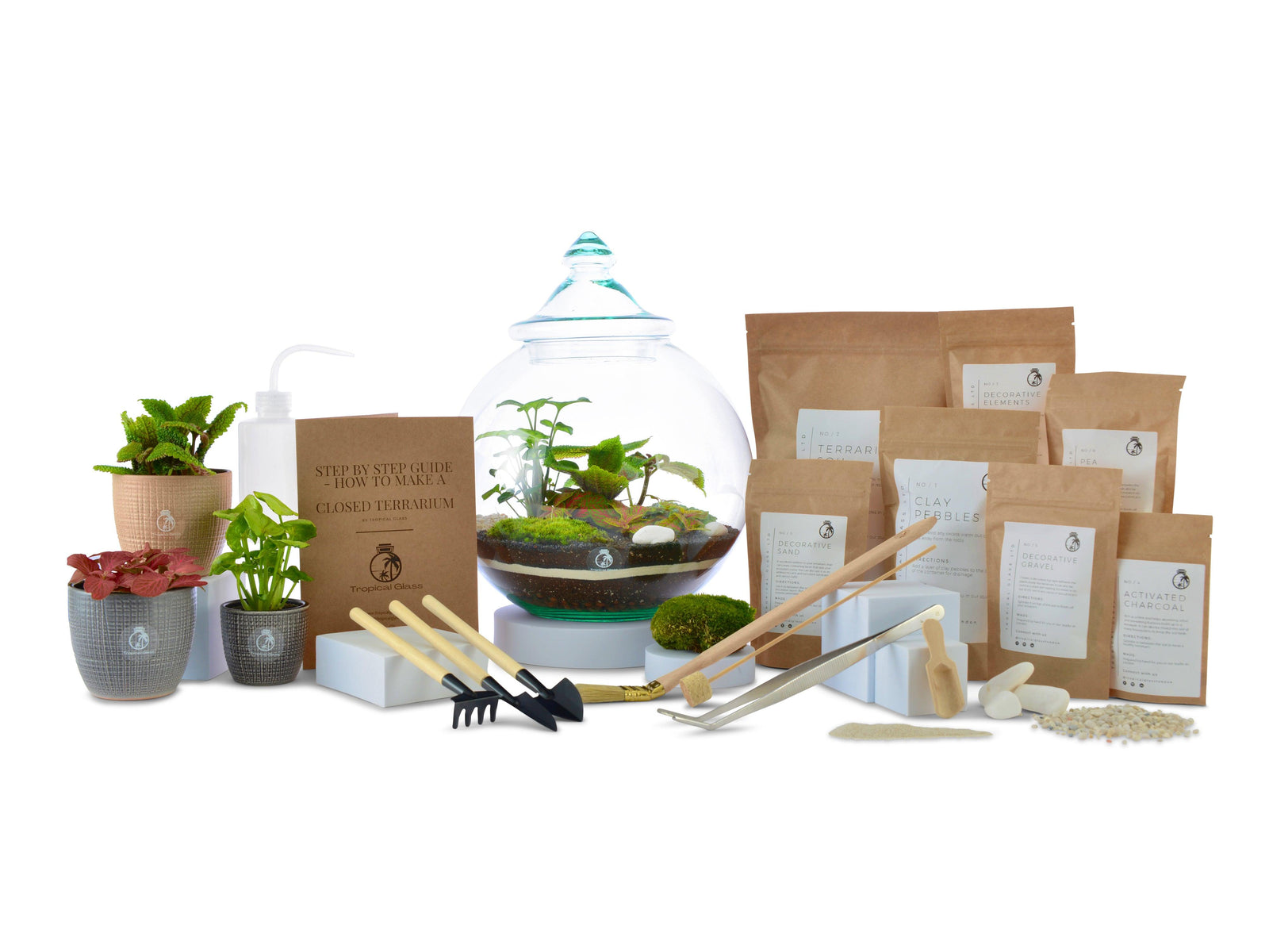 A DIY closed terrarium kit displayed on a white background, featuring a large glass container with a lid, various small plants, tools for assembly, and several packets of materials including soil and decorative elements.