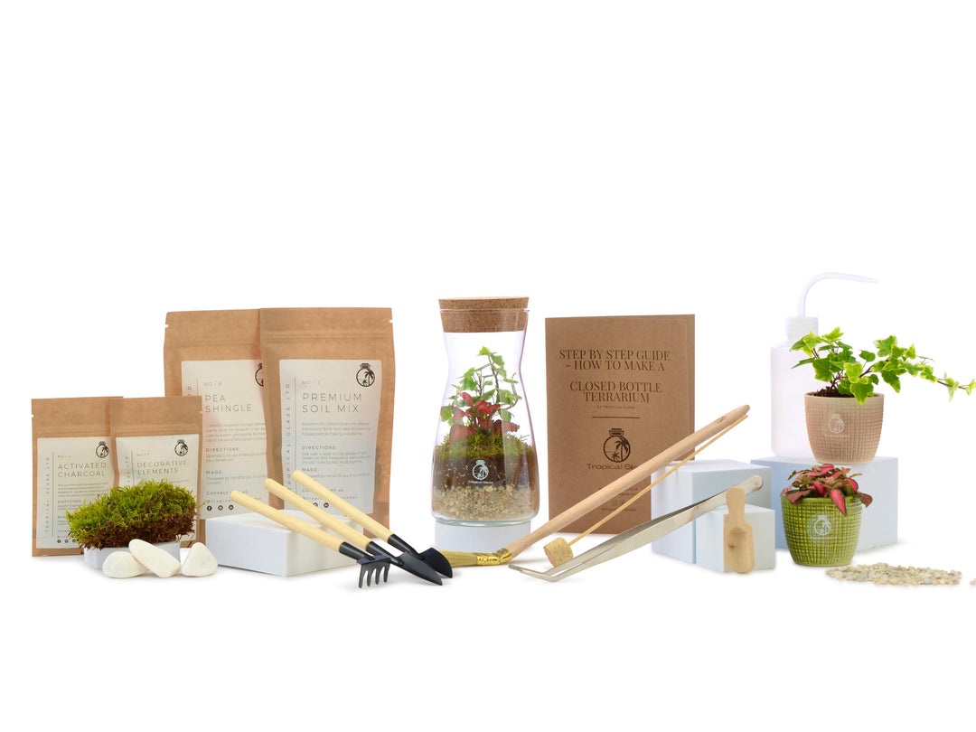 DIY Terrarium Kit with Jar and Plants | Small Bottle Terrarium Kit | 'Porto' - Tropical Glass